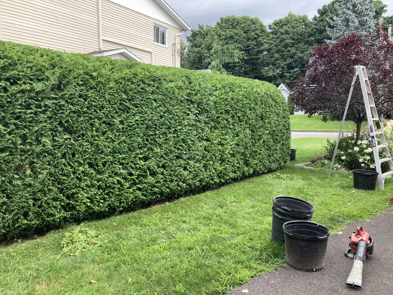 Ouverture de terrain printemps en Estrie – Vert Pelouse