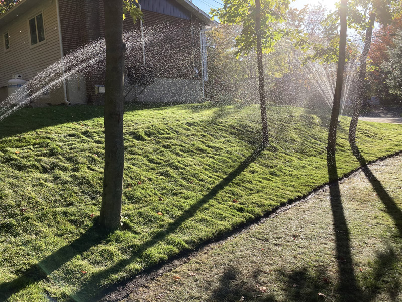 Pose de tourbe résidentielle à Granby et Shefford – Vert Pelouse