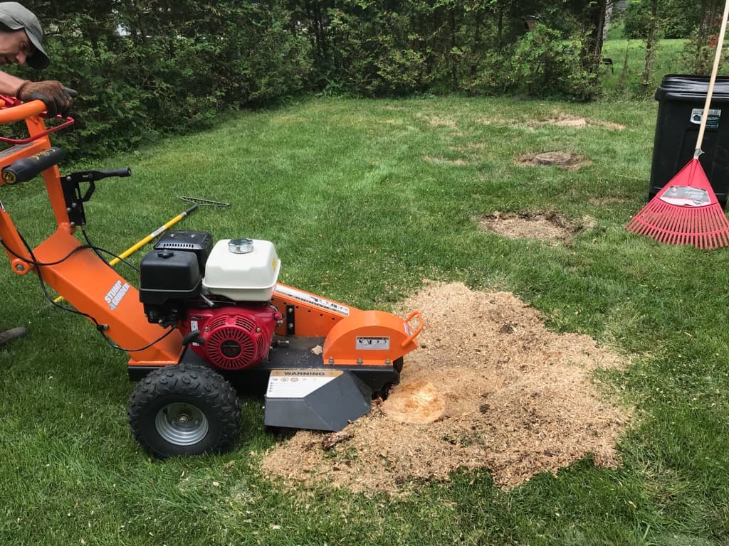 Essouchage et enlèvement de souches d'arbres à Granby – Vert Pelouse