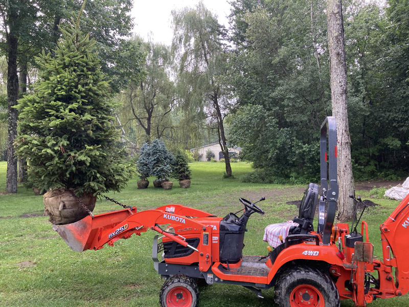 Plantation d'arbres arbustes et conifères en Estrie – Vert Pelouse