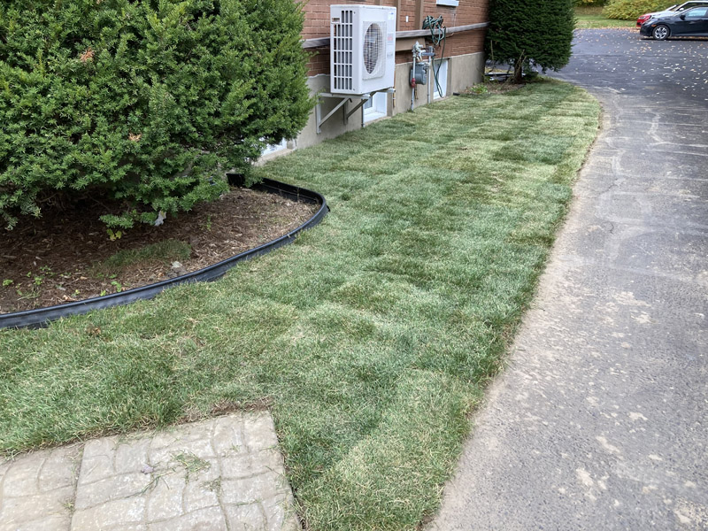 Pose de tourbe fraîche et ensemencement à Granby et Bromont – Vert Pelouse
